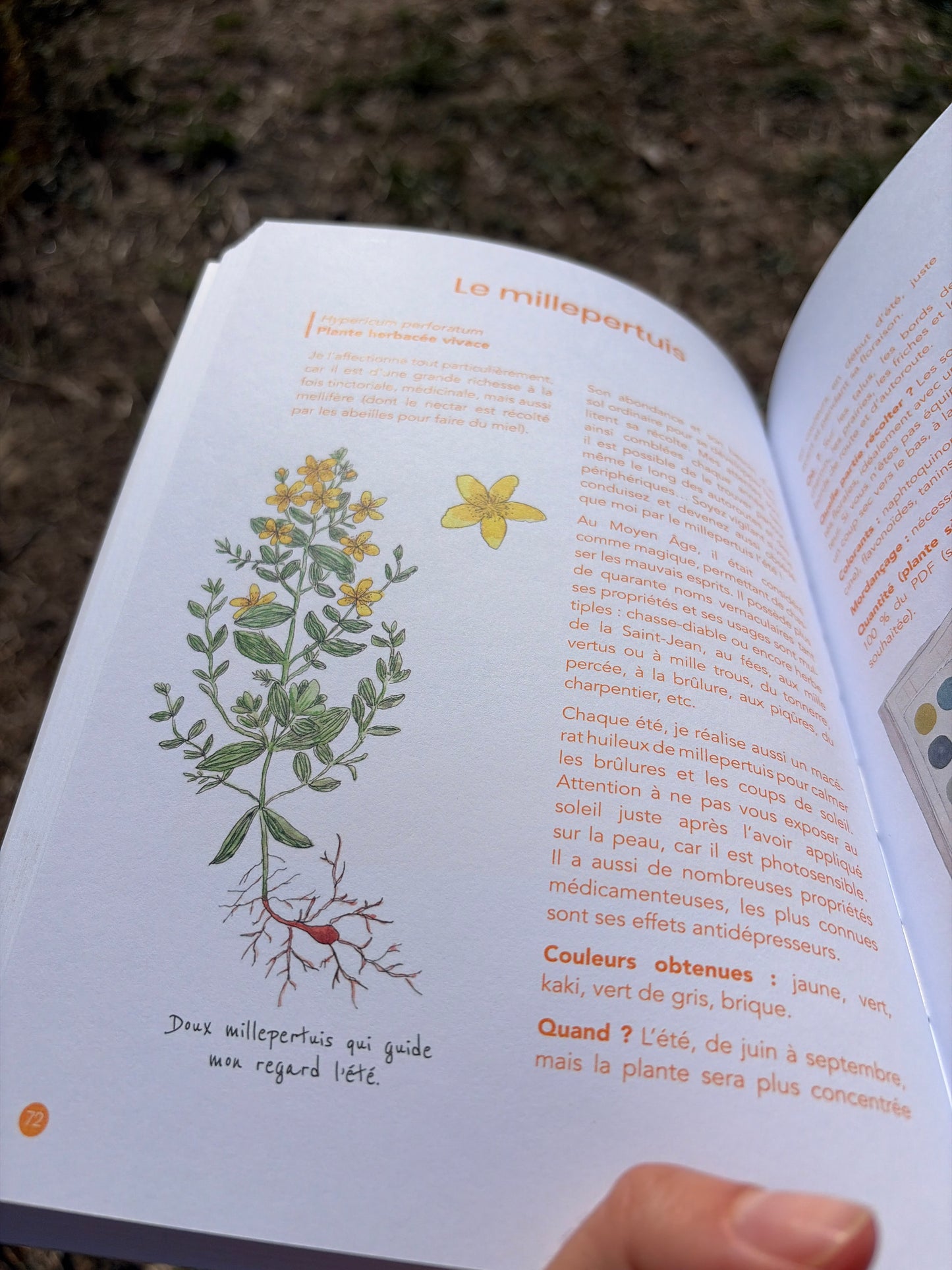 Livre "L'Atelier du teinturier : guide pratique et graphique"